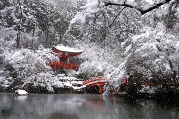 Snow at Daigo Temple
