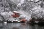 Tuyết trắng ở đền Daigo 