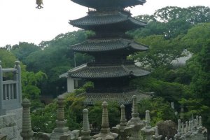Nagoya's oldest 5 tiered pagoda at Koshoji Temple.