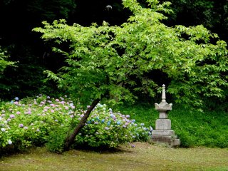 Chishakuin&#39;s gardeners have created many beautiful scenes in the garden