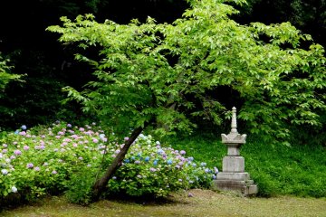 <p>Chishakuin&#39;s gardeners have created many beautiful scenes in the garden</p>