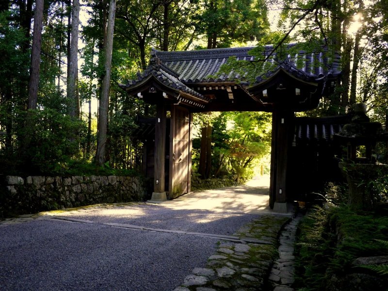 <p>Looking through the gate into late afternoon sunlight</p>