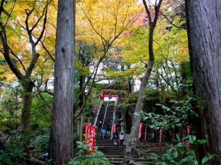 丘を登る階段は寺の赤門へと続く