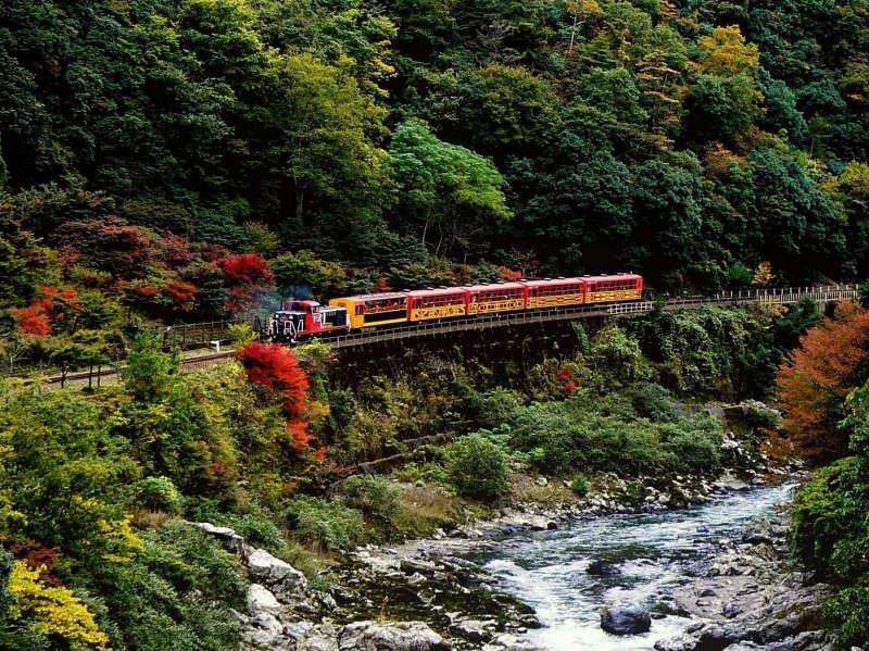 호즈가와 협곡을 가로지르는 '로맨틱 열차'