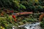 Arashiyama's Romantic Train