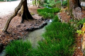 타다수노모리 유적의 고대 숲을 지나 길가에 작은 물줄기가 흐르고 있다