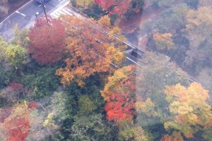มุมมองใบไม้เปลี่ยนสีจาก กระเช้าไฟฟ้า Hakone Ropeway