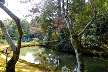 <p>Pleasant excursion garden bordered by a stream</p>