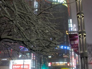 A side view of the Fujiya&nbsp;corner, the snow even accumulated on the thin tree branches.