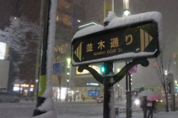 <p>Namiki&nbsp;street sign in Ginza, just outside the GAP store. GAP closed down at an unusual time that day, at around 18:00, due to the heavy snowfall.</p>