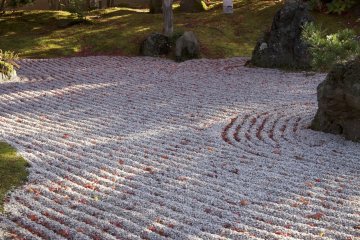 <p>A well kept Zen garden is the perfect place for a tree to cast a shadow.</p>