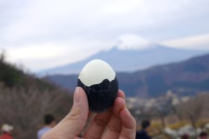 The egg and Mt. Fuji are twins