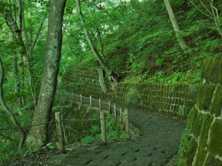 This is the short trail leading to the observation deck, it begins as a stone path but quickly becomes an uneven trail. Takes about five minutes to make your way to the deck. &nbsp;