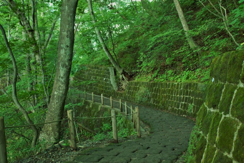 <p>This is the short trail leading to the observation deck, it begins as a stone path but quickly becomes an uneven trail. Takes about five minutes to make your way to the deck. &nbsp;</p>