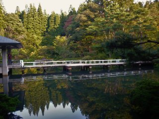 Ao nước có một mái đình nhỏ và cây cầu vươn ra đến tận hồ cá koi để bạn có được cái nhìn toàn cảnh công viên.