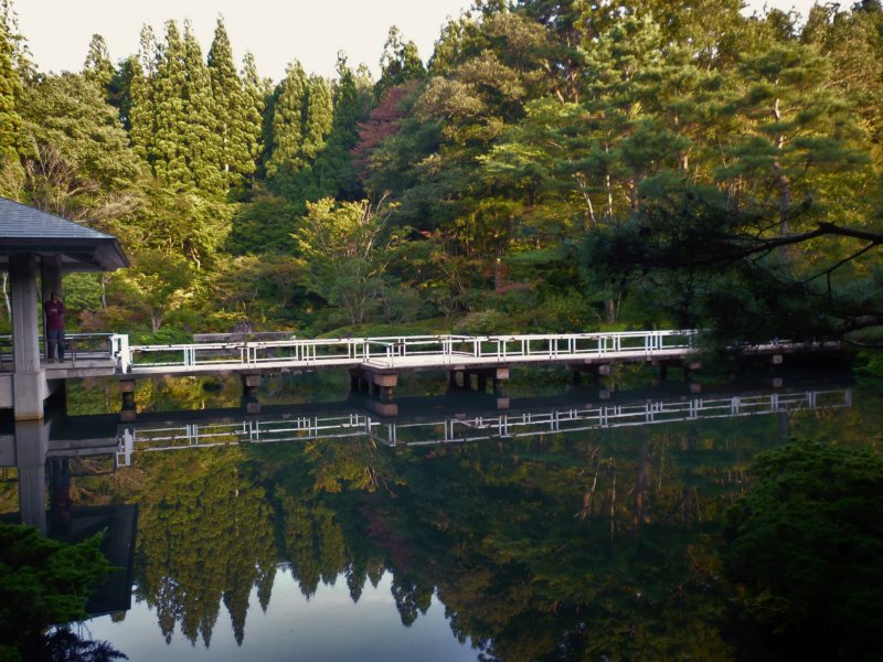 <p>The pond has a shelter and bridge that extend out into the middle of the koi pond giving you panoramic views of the park.</p>