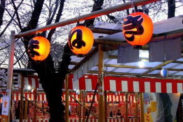 <p>Orange lanterns</p>