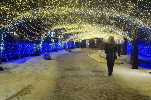 Kawabata Street is a 15 minute stroll from Akita railway station, which is transformed into a winter wonderland.