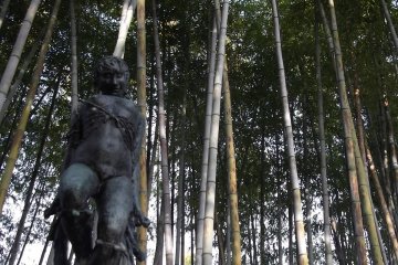 <p>There&#39;s a small bamboo grove at the rear of the garden</p>