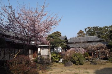 <p>The garden is flanked by a traditional Japanese building</p>