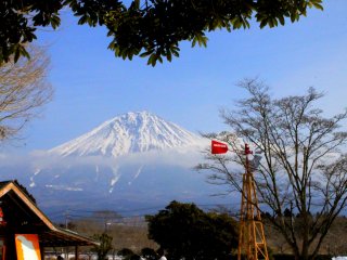 Mt. Fuji stands majestic as it captures not just the farm visitors&#39; fancy, but the animals&#39; as well.