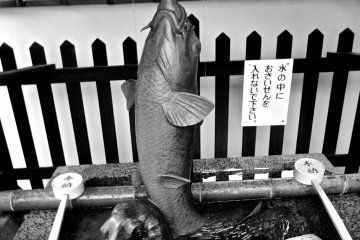 <p>At the entrance of the shrine you will find this lovely water fountain, a statue of a koi&nbsp;carp. In summer you can see people lining up here, after the Kitano hike, to splash some cool water on their faces to beat the heat.</p>