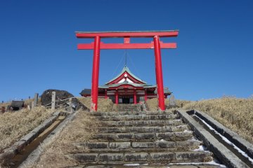 <p>At the very first, your eye will be captured by red shrine pillars and a red gate against the blue sky</p>