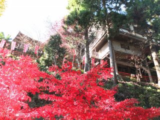 Nhìn lên đền Oyama vào một ngày thu tuyệt đẹp