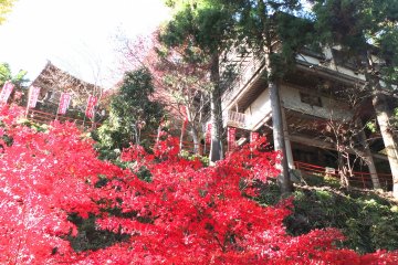 아름다운 어느 가을날의 오야마 사원 