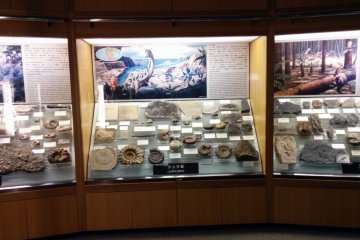 <p>There are many displays of rocks and fossils that line two floors of walls.&nbsp;</p>