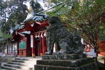 If I had to choose only one place to visit during my stay in Hakone, I would go to Hakone Shrine in the early morning or just before dusk. It is that special.
