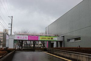 福井県立美術館外観