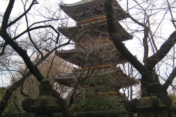 A five storey pagoda lurks among the wintry trees