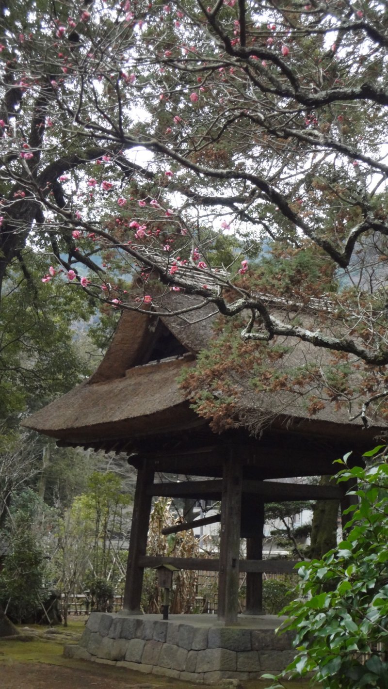 A bell platform sits to the right of the temple’s entrance gate. It has a nice thatched roof.