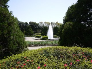 Vườn thực vật Kyoto cũng có đài phun nước xinh xắn