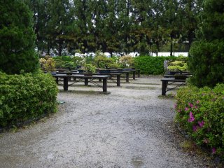 Entering the bonsai garden