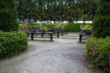 <p>Entering the bonsai garden</p>