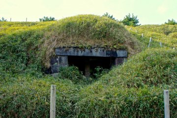 <p>The bunker in the ruins of The Third Daiba. Nature has reclaimed a lot of it and there is no chance of venturing to explore it in any way.</p>