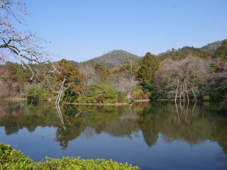 Besides the rock garden, Ryoan-ji Temple has a beautiful pond and two excursion gardens in the precinct
