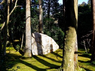 There are many rocks in many places in the precinct of Ryoan-ji Temple