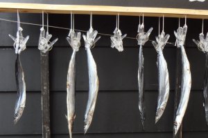 Dried fish are a specialty of this district.