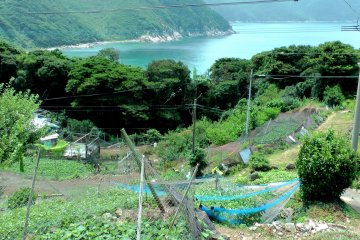 <p>Inlet viewed from uphill. How idyllic!</p>