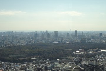 View of Yoyogi Park...and beyond.
