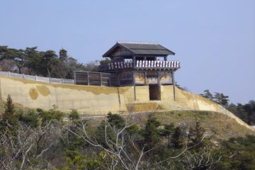 Kinojo Castle Overlooking Soja City