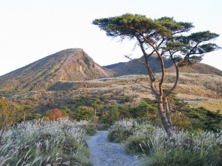 Le chemin qui m&egrave;ne jusqu&#39;&agrave; l&#39;&eacute;tang de Fudō, au pied du mont Karakuni