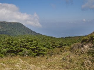 ดูในด้านทุ่งหญ้าเขียวชอุ่มของภูเขาไอโอผ่านต้นสนไปที่ภูเขา Koshiki ซึ่งมียอดเขาราบเรียบ