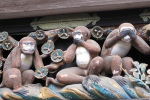 Meet the monkeys in Nikko