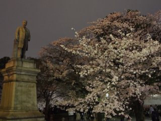 Yajiro Shinagawa, mantan samurai dari era Meiji. Patungnya tampil jantan dan ditemani bunga sakura yang terkesan lembut. Sebuah perpaduan yang menarik.