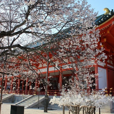 Kyoto's Heian Jingu Shrine