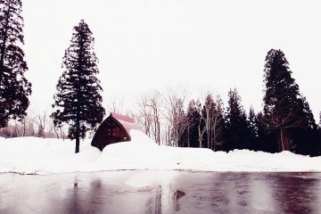 <p>บรรยากาศบ้านป่าในฤดูหนาว</p>